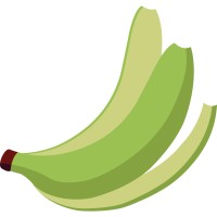 RAW BANANA STUDIO TEKNOLOJİ ANONİM ŞİRKETİ